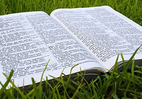 Bible